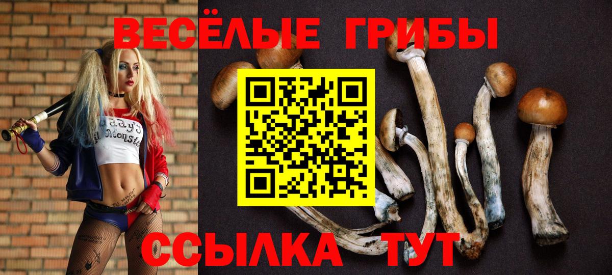 Галлюциногенные грибы Psilocybe Домодедово